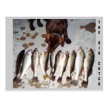 CHOCOLATE LAB'S BIG CATCH POSTCARD