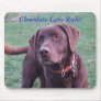 Chocolate Labs Rule! Mouse Pad