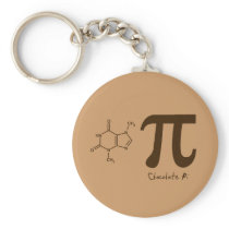 chocolate_pi_shirt_horizontal copy key chains