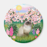 Chocolate Point Himalayan -  Blossoms Fridge Magnet