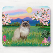 Chocolate Point Himalayan -  Blossoms Mouse Pads
