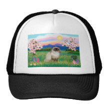 Chocolate Point Himalayan -  Blossoms Trucker Hat