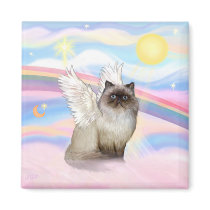 Chocolate Point Himalayan Cat  Angel