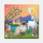 Chocolate Point Himalayan Cat  - Fantasy Land Fridge Magnets