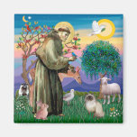 Chocolate Point Himalayan Cat  - St Francis Refrigerator Magnets