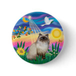 Chocolate Point Himalayan Cat  - Twilight