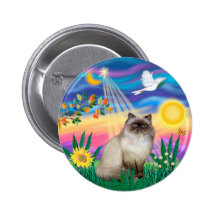 Chocolate Point Himalayan Cat  - Twilight Pinback Button