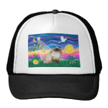 Chocolate Point Himalayan Cat  - Twilight Trucker Hats