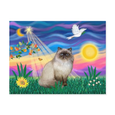 Chocolate Point Himalayan Cat  - Twilight by catartgifts