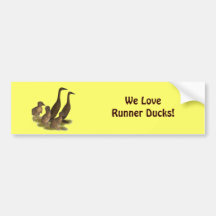Chocolate Runner Duck Family Bumper Stickers
