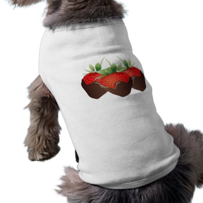 Chocolate Strawberry by politicalgirl