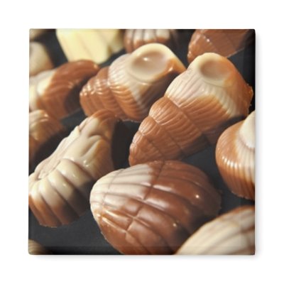 Chocolates Fridge Magnet by VectorGraphics
