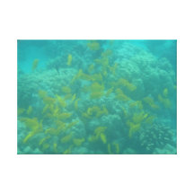 Choix de toile tropicale de poissons impression sur toile