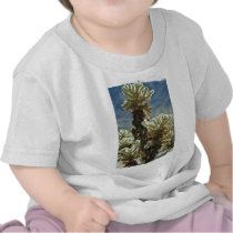 Cholla Afternoon T-shirts