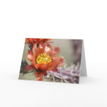 Cholla Bloom Greeting Card