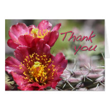 Cholla Bloom "Thank You" Card
