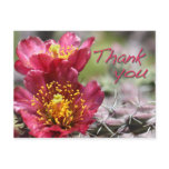 Cholla Bloom "Thank You" Postcard