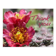 Cholla Bloom "Thank You" Postcard