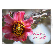 Cholla Cactus Flower "Thinking of You" Greeting Card