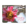 Cholla Flower "Thinking of You" Postcard
