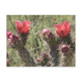 Cholla Flowers Postcard