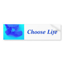 Choose Life Bumper Sticker