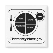 Choose My Plate Refrigerator Magnet