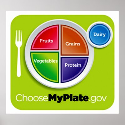 Choose My Plate Poster - in many sizes by HealthyFoods