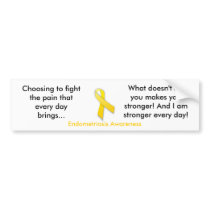 Choosing to fight the pain ...Endo Awareness Bumper Stickers