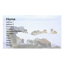 Chopping Walrus meat for dog food Business Card Templates