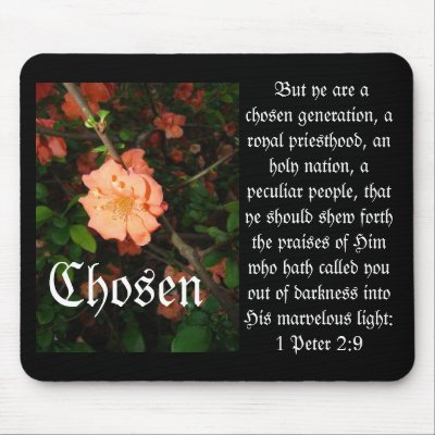 Chosen by MAPASUE