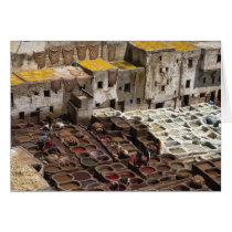 Chourara tannery, Fez cards
