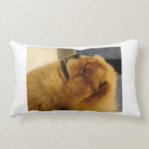 Chow Chow Small Pillow