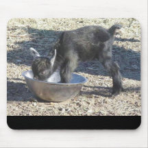 chow time mouse pad
