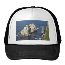 Chowiet seabird colonies hat