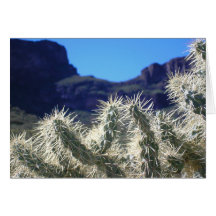 Choya Cactus - Arizona Note Card