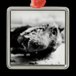Chribska Dog ornaments