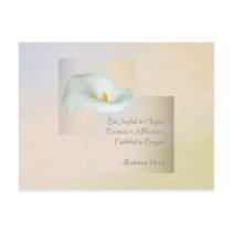 Christian Faith Art ~ Romans 12:12 Post Cards