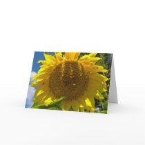 Christian Sunflower Birthday Cards
