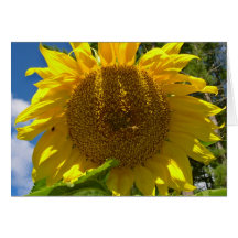 Christian Sunflower Birthday Card Cards