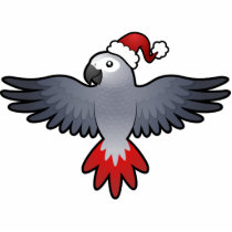 Christmas African Grey / Amazon / Parrot