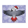 Christmas African Grey / Amazon / Parrot