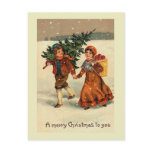 "Christmas Apples" Postcard