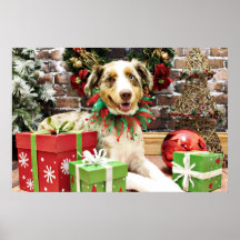 Christmas - Australian Shepherd - Cash Print