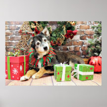Christmas - Australian Shepherd - Gunnie Poster