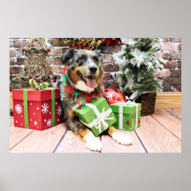 Christmas - Australian Shepherd - Kiko Posters