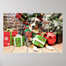 Christmas - Australian Shepherd - Loki Print