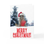 Christmas Bandit Raccoon with Present Card