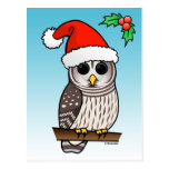 Christmas Barred Owl Santa Post Cards