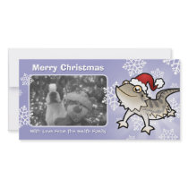 Christmas Bearded Dragon / Rankins Dragon